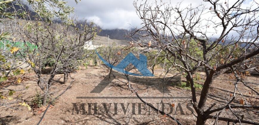 finca en venta en El Sequero, Tunte (a711)