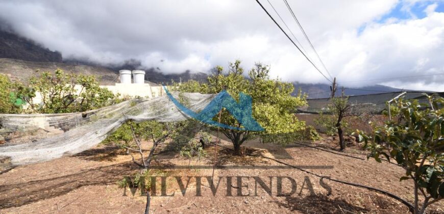 finca en venta en El Sequero, Tunte (a711)