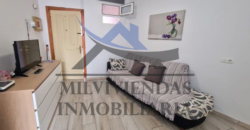 Apartamento en alquiler para la temporada de invierno (let5635)