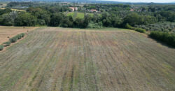 Terreno en venta en Toscana zona Rosignano Marittimo (mm302)