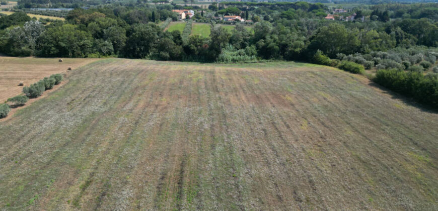 Terreno en venta en Toscana zona Rosignano Marittimo (mm302)