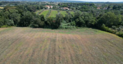 Terreno en venta en Toscana zona Rosignano Marittimo (mm302)