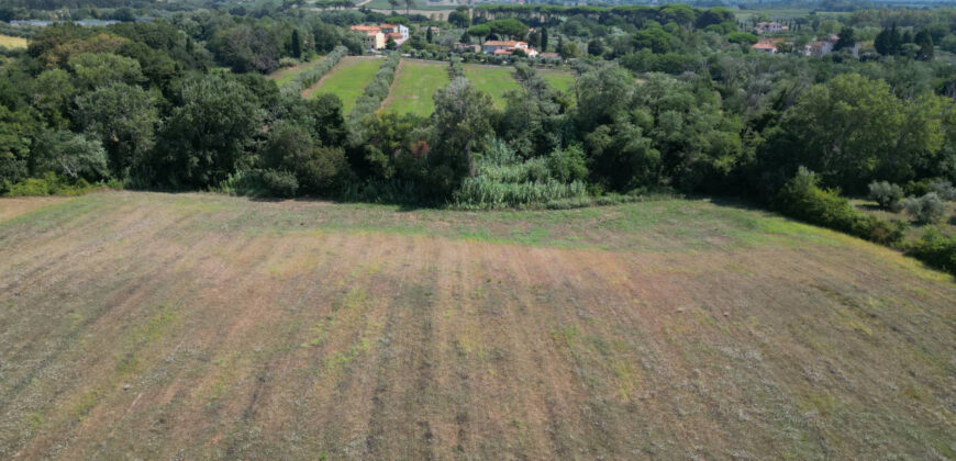 Terreno en venta en Toscana zona Rosignano Marittimo (mm302)