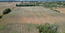 Terreno en venta en Toscana zona Rosignano Marittimo (mm302)