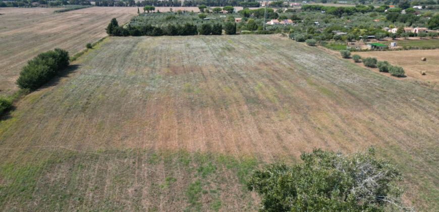 Terreno en venta en Toscana zona Rosignano Marittimo (mm302)