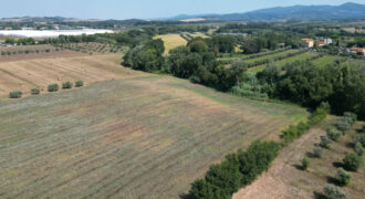 Terreno en venta en Toscana zona Rosignano Marittimo (mm302)