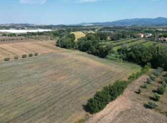 Terreno en venta en Toscana zona Rosignano Marittimo (mm302)