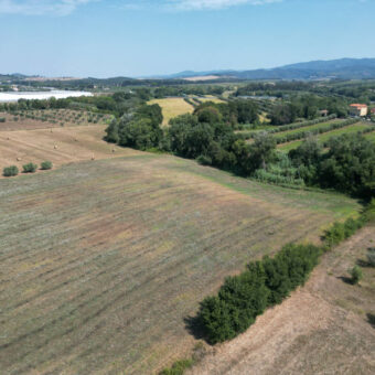 Terreno en venta en Toscana zona Rosignano Marittimo (mm302)