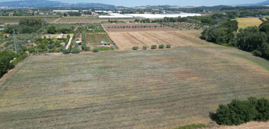 Terreno en venta en Toscana zona Rosignano Marittimo (mm302)