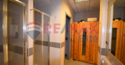 Locale commerciale in locazione zona Eur (po001)